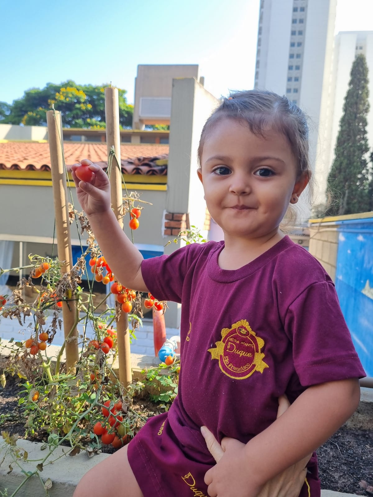 Maternal II - 3 a 4 anos